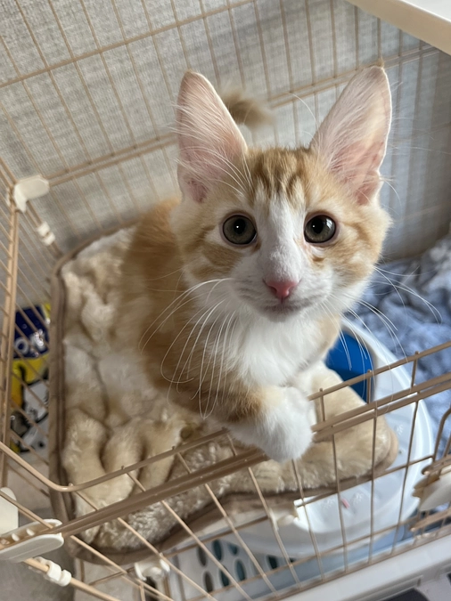 Instagramのお知らせ