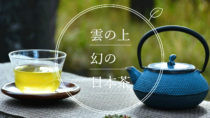 雲上で栽培される幻のお茶！ホンモノの日本茶を世界へ届けたい