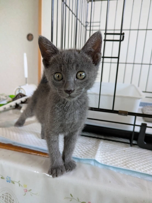 寄付金受領証明書