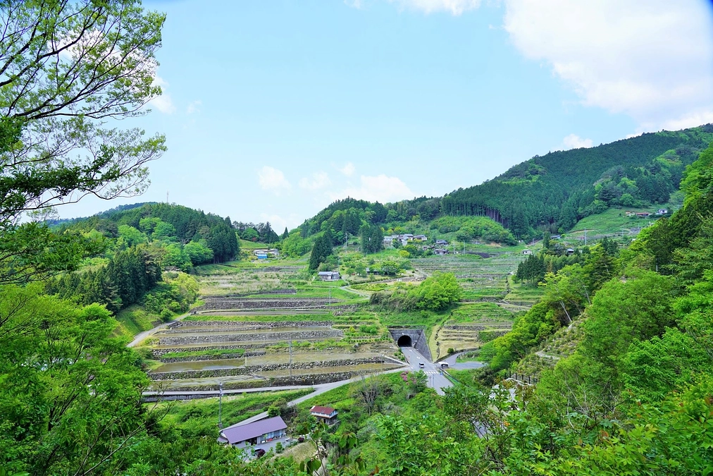 いよいよスタートいたしました！
