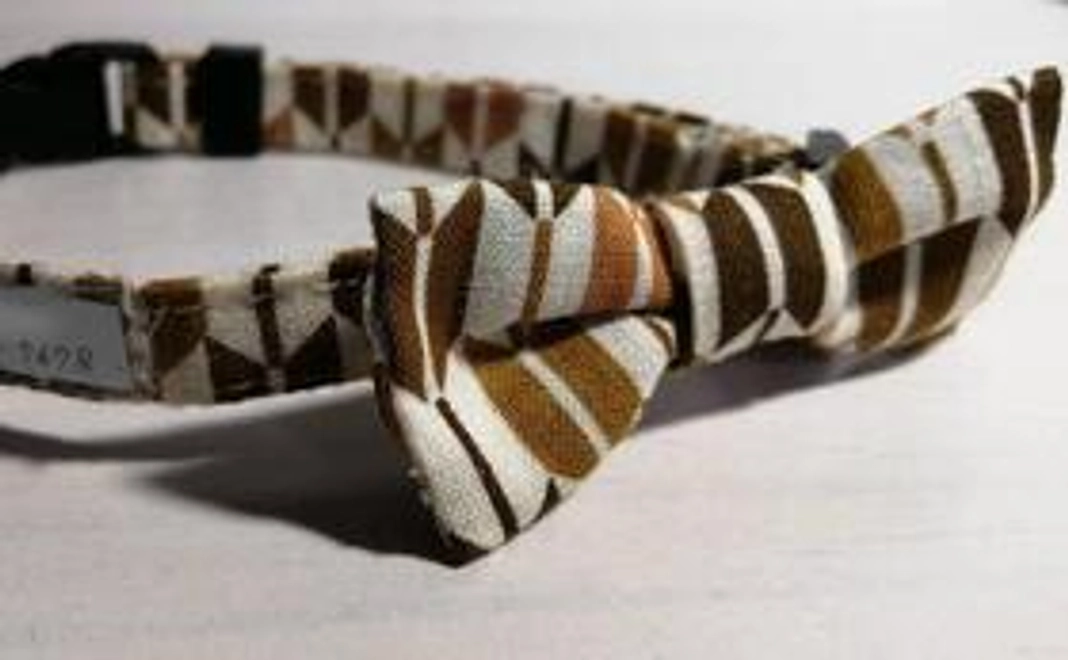 感謝の手紙、ハンドメイドの猫首輪