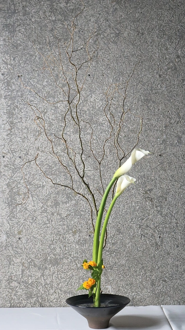 エントリナンバー11