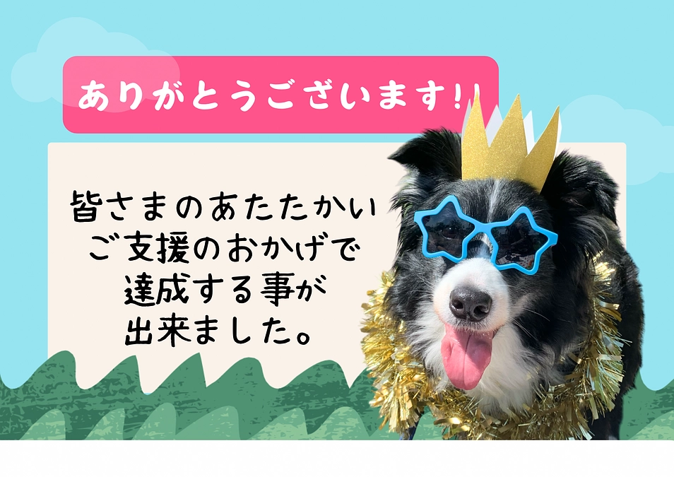 ありがとうございます！！