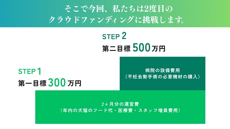 救う命を選ばない。どんな犬猫も保護し続け福岡の里親さんを増やしたい 6枚目