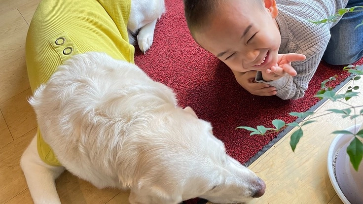 ワンちゃんに優しい安全で信頼できるシャンプーを作りたい！！！