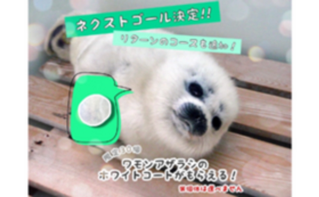 【11.23追加】ホワイトコート付きワモンアザラシグッズで応援！
