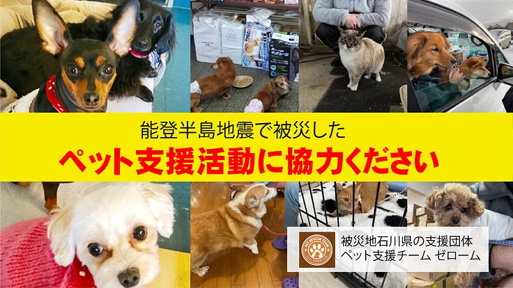 能登半島地震で被災したペット支援に協力を!!!残り2日となりました