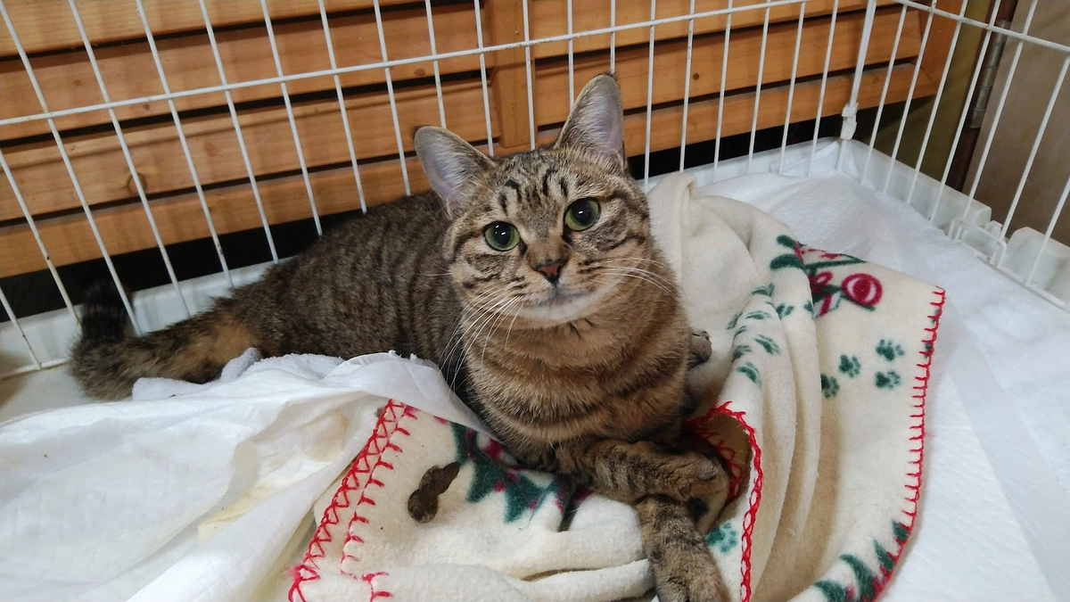 一緒に過ごした時間は私たちにとって何にも変えられない大きな大きな“宝物”でした