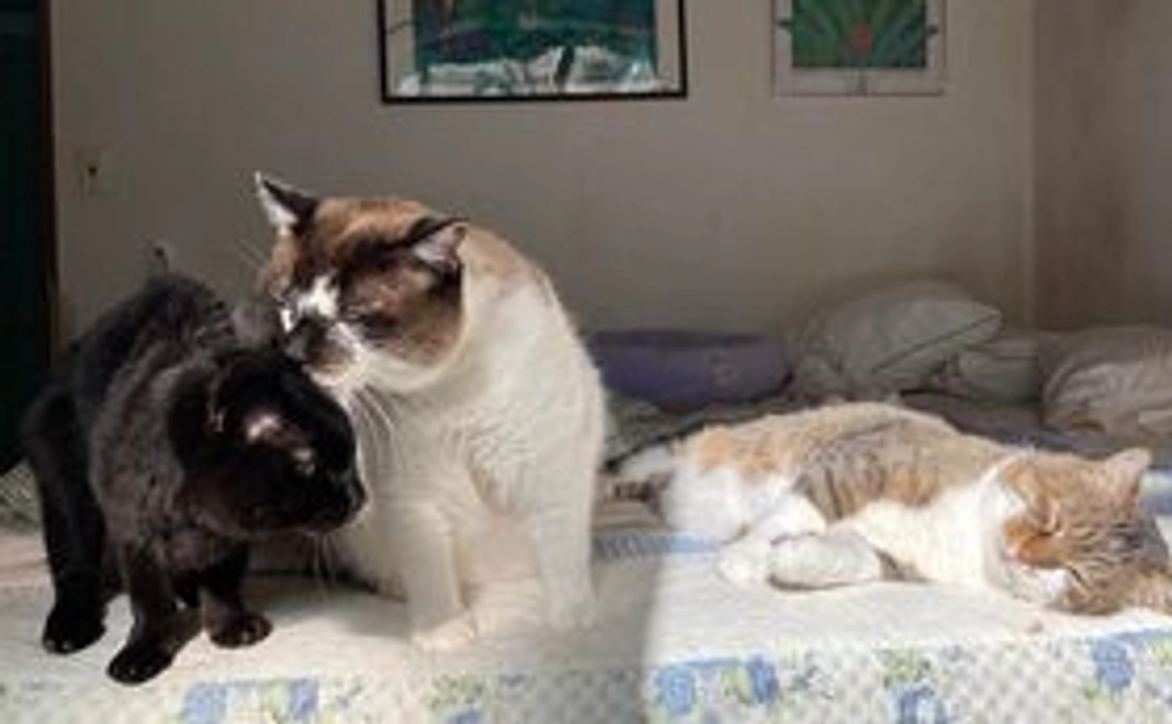 5,000円　応援コース【リターンなし】