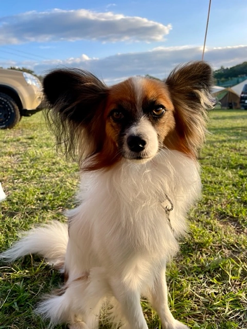 CT検査結果　更なる奇跡が起こりました‼️