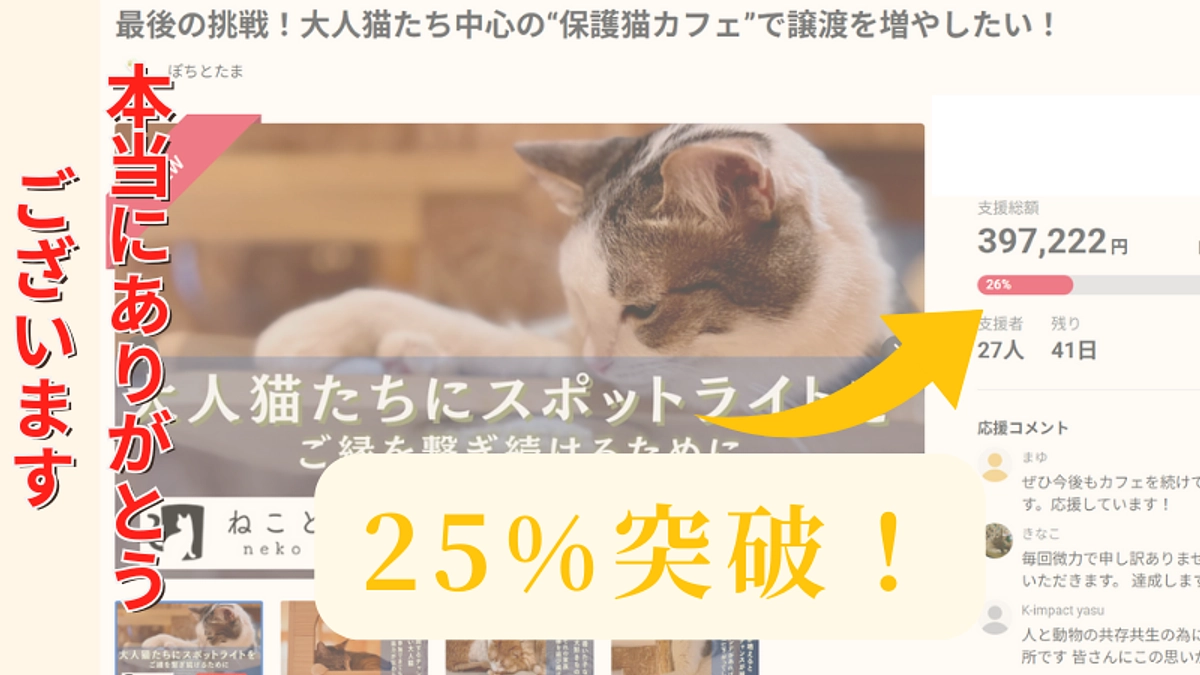 【25％突破！】数字に囚われずに情報発信ができるように頑張ります！