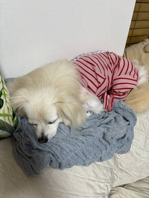 【残り１時間３０分】達成率８２％