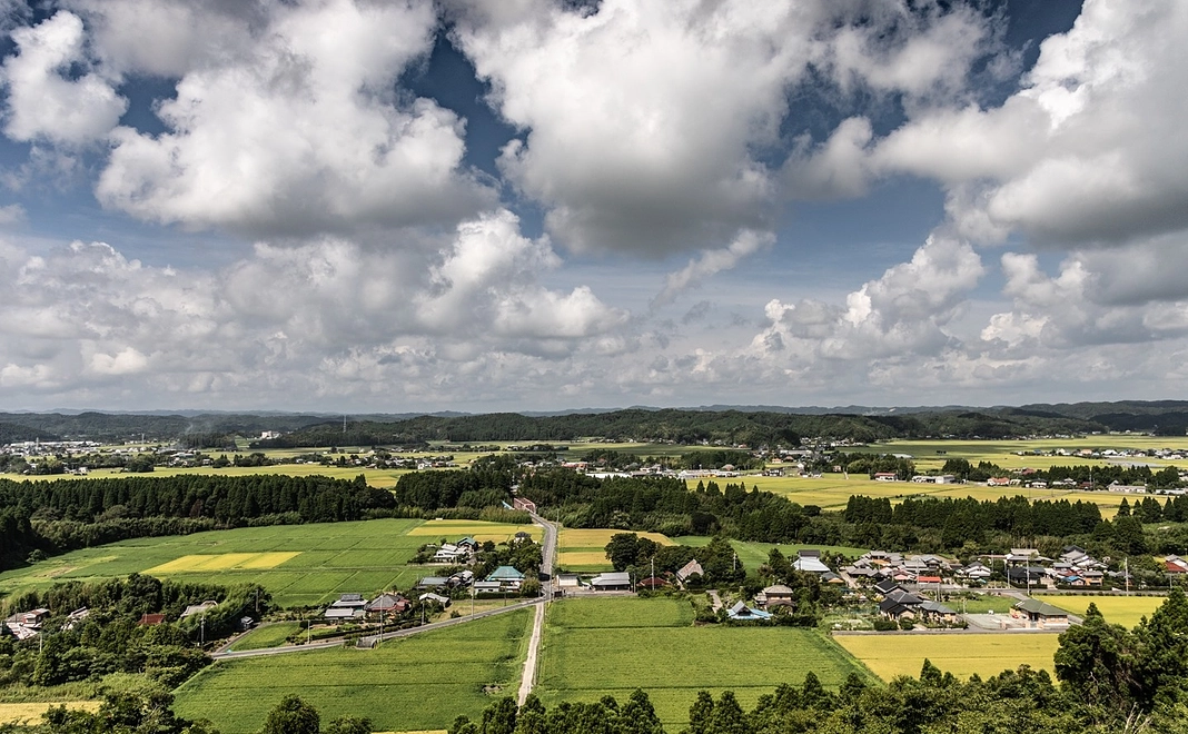 寄付｜いラセン奨学金を純粋応援!