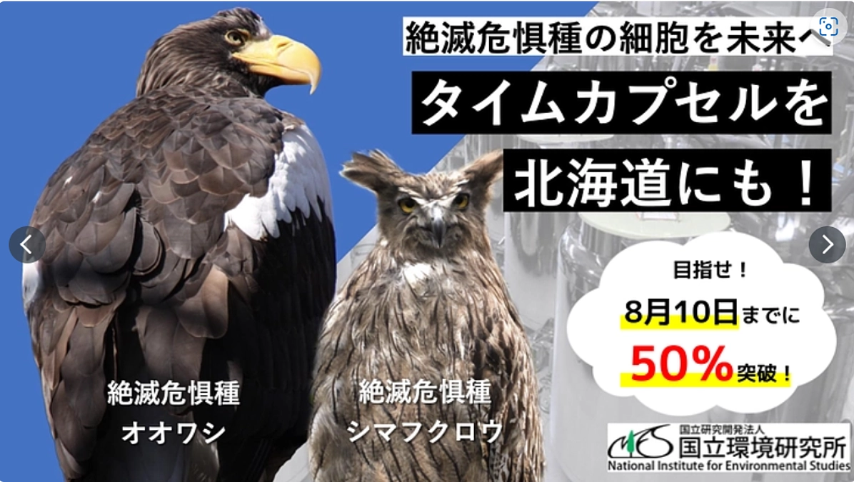 国立環境研究所のプロジェクトで紹介していただきました！