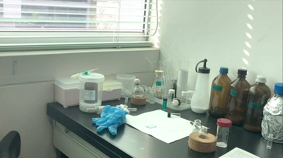 研究室紹介13 ~山本研究室~