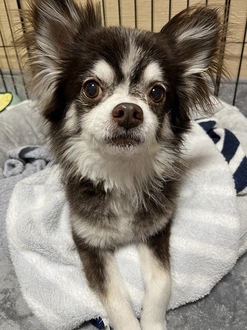 2023年ありがとうございました！