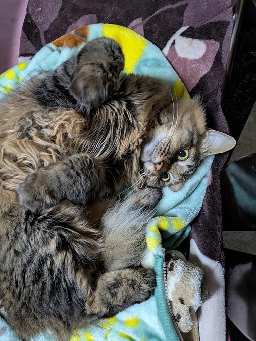 5月９日皆様に応援して頂きましたお金入金が有りました。