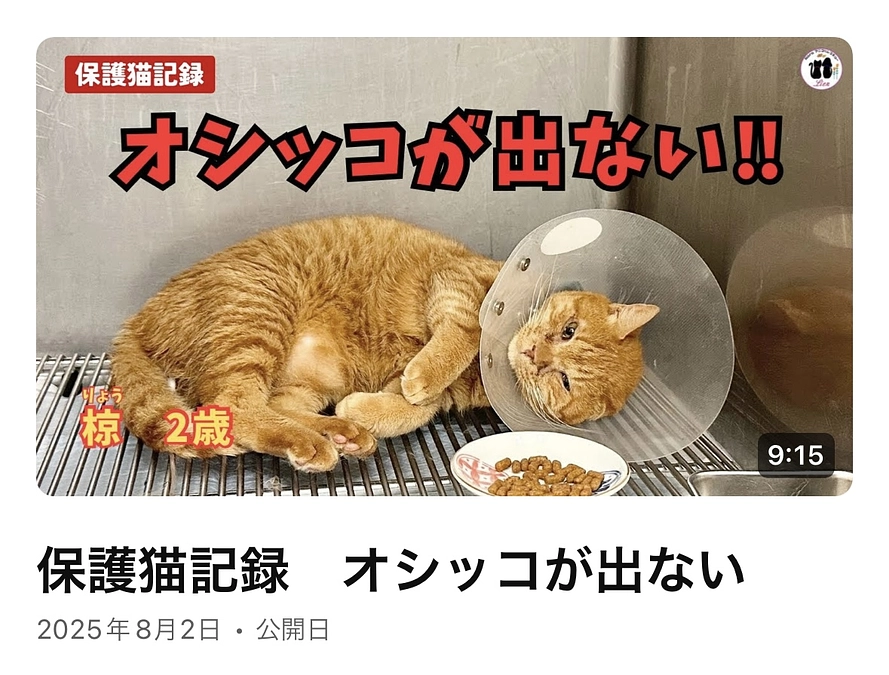 オシッコが出なくなりました!!