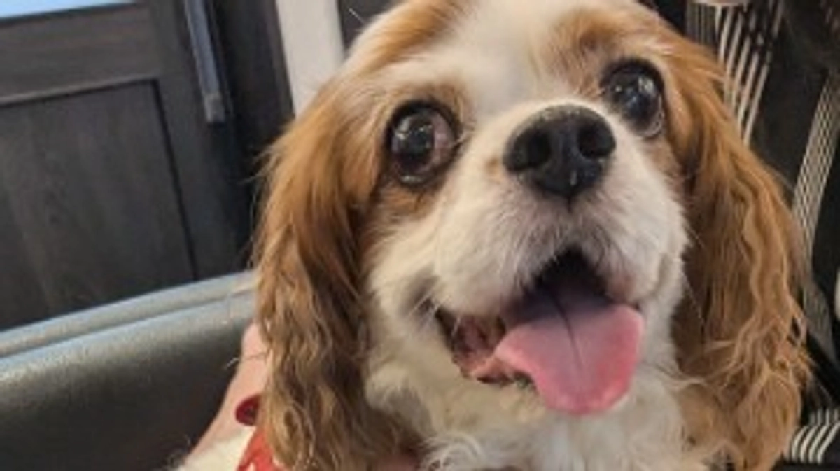 退院翌日の様子