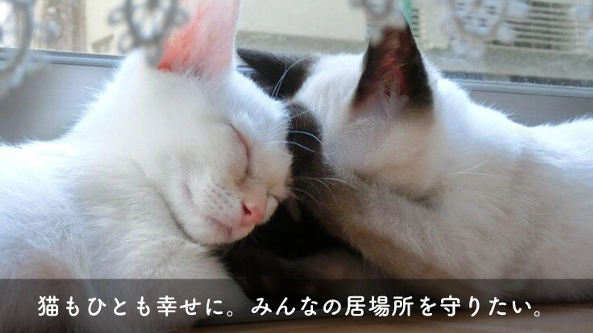 クラウドファンディング終了と達成のご挨拶