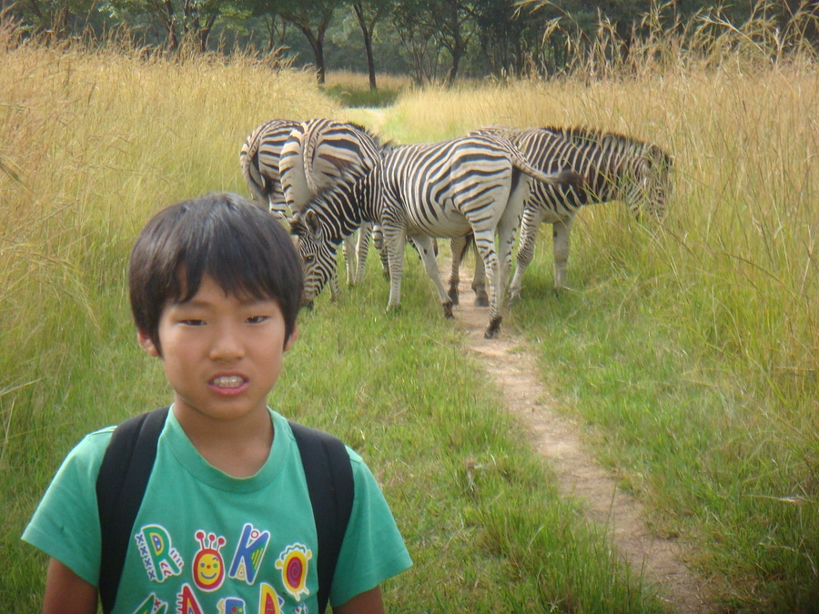 農村支援の始まりと小学校時代のジンバブエでの原体験