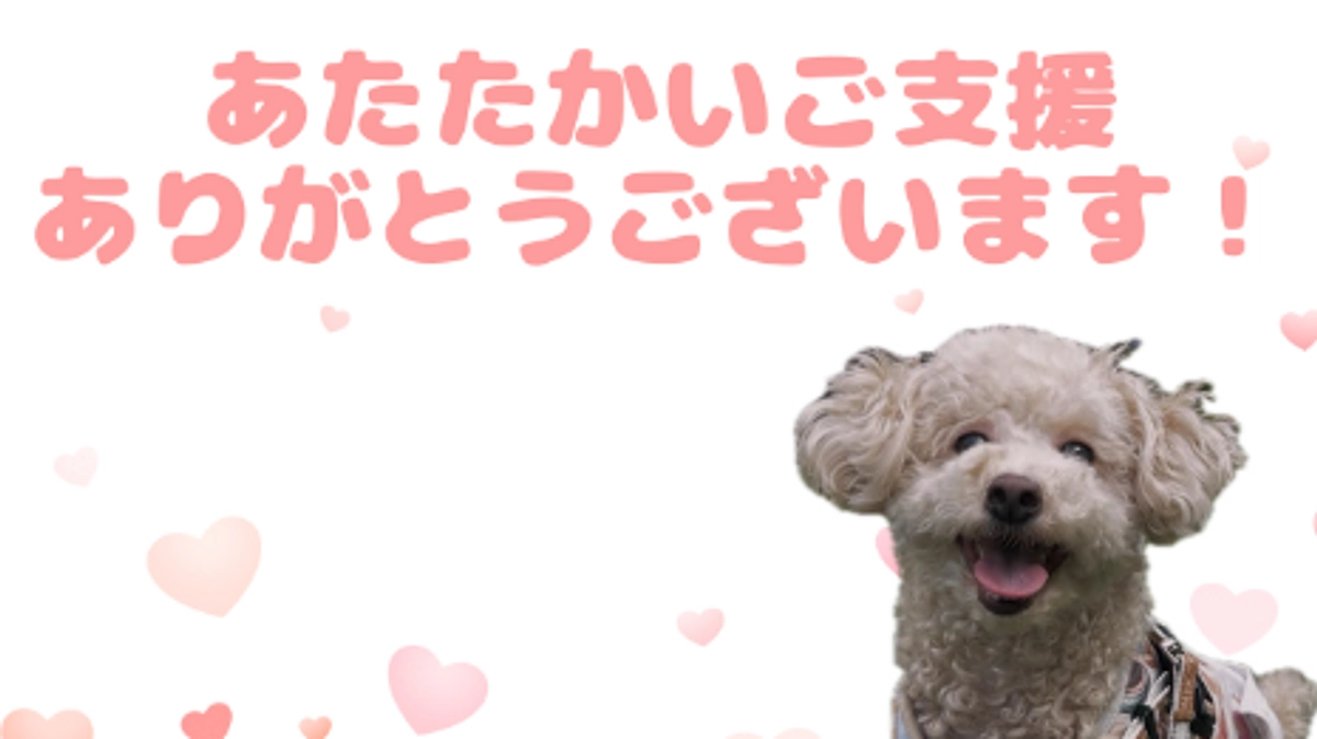 【クラファン5日目】収支報告など