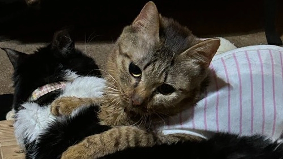 クラファン開始１０日が経ちました！