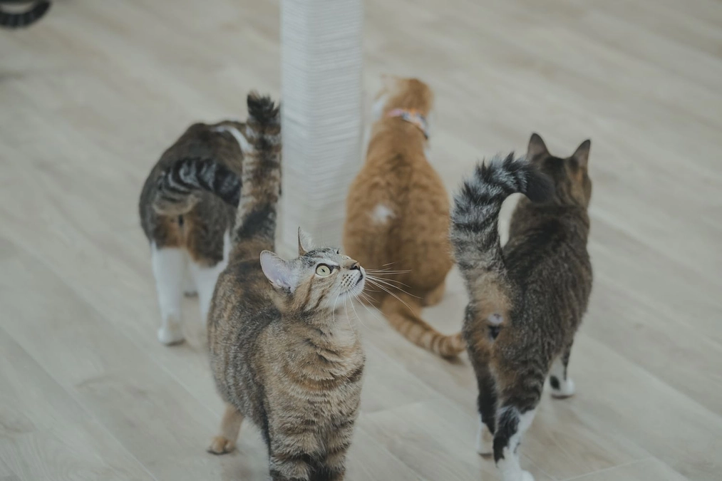 定休日は、気が付けば朝から1度も座れない日もあります…