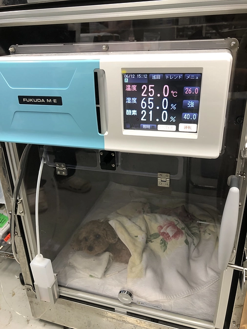 手術受けてきました！