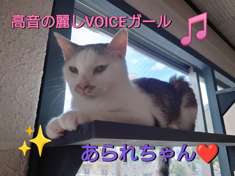 健康維持の為にとても大切な事！毎週訪れる試練とは…