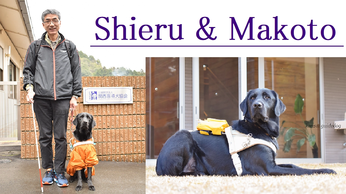 ユーザーからの応援コメント