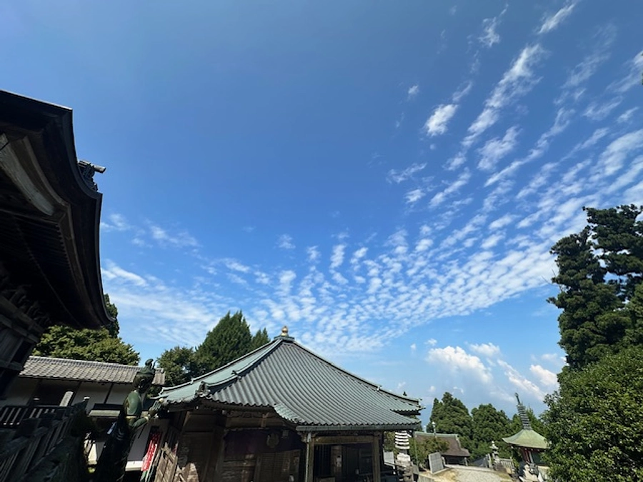 あと15日となりました。