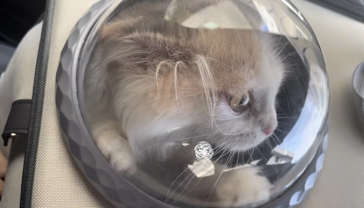 血液検査に行ってきました🌡️