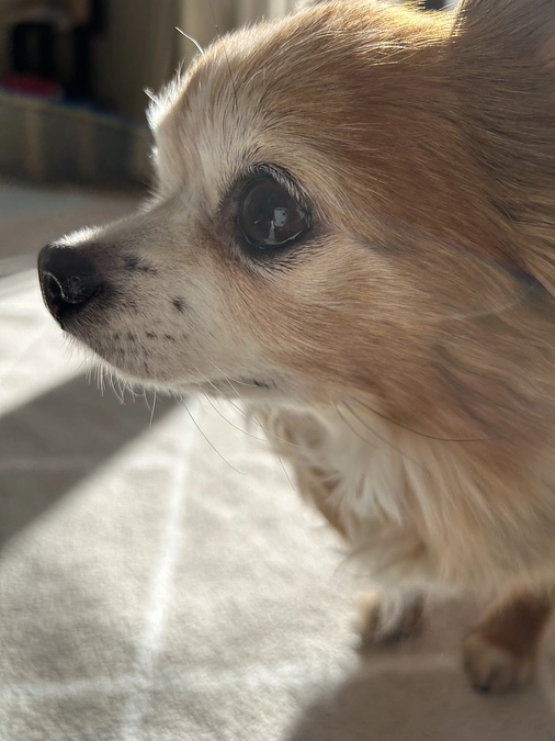 術後一年半の検診に行ってきました。