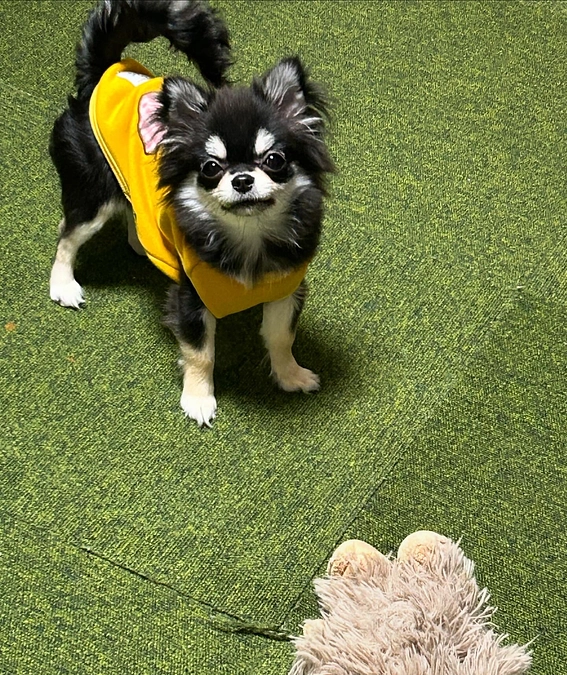 無事に初日を終えることができました