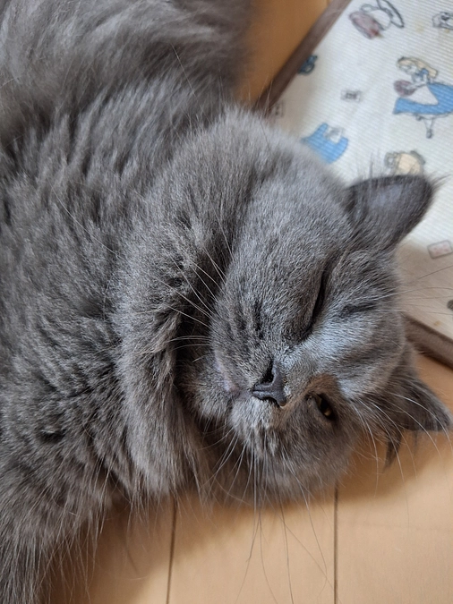 残り1週間となりました😭