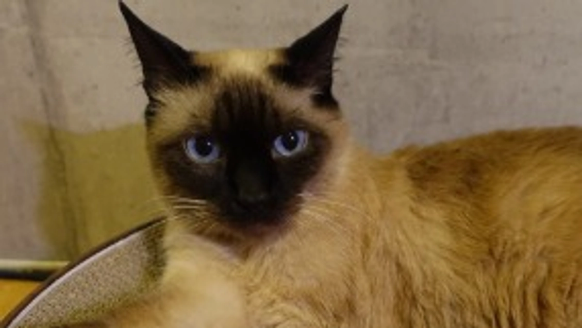 ★2023.6/25 投薬開始73日目★