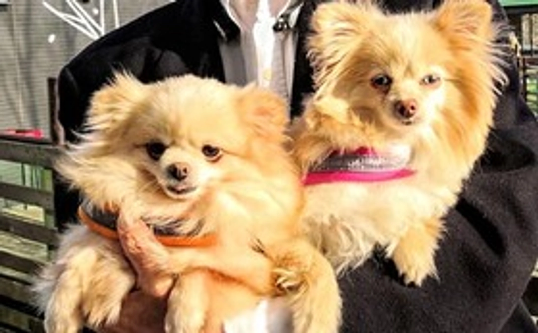 5000円　応援コース