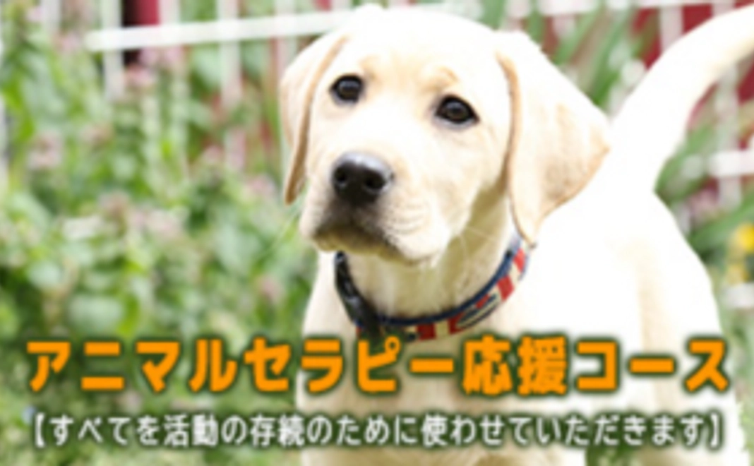 アニマルセラピー応援コース 5,000円【すべてを活動の存続のために使わせていただきます】