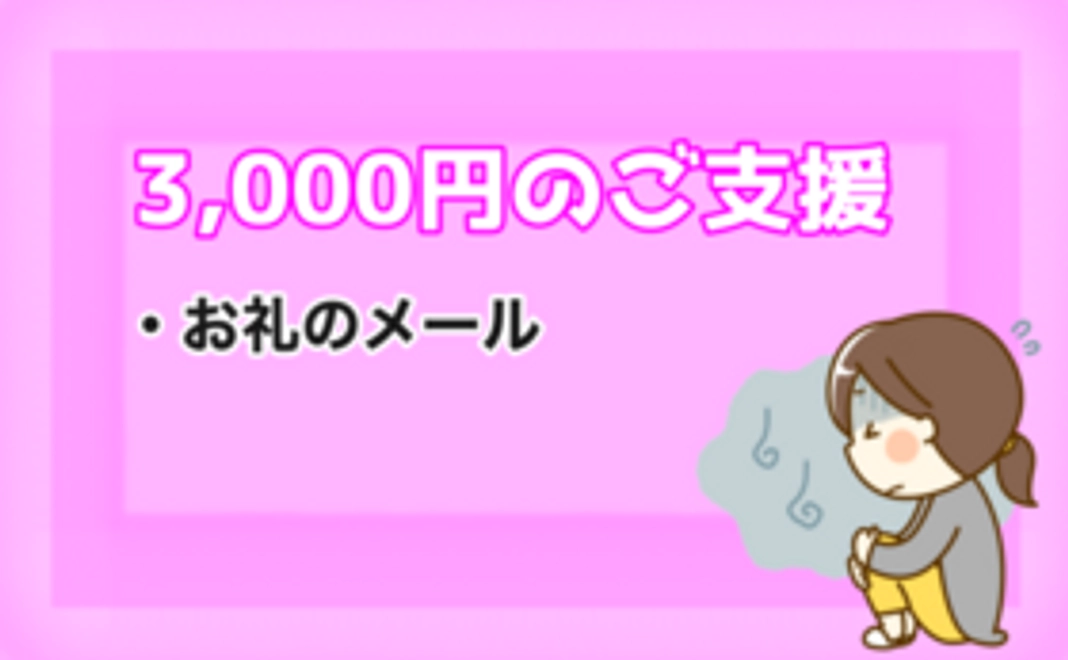 3000円のご寄付