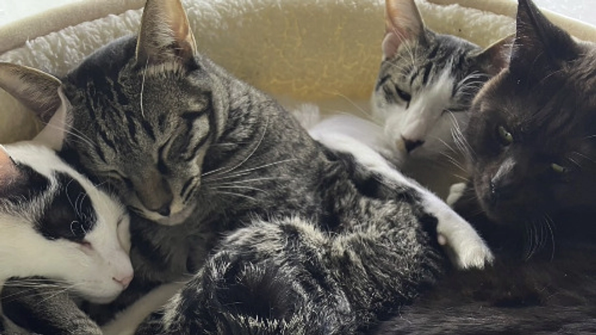 令和6年の活動実績