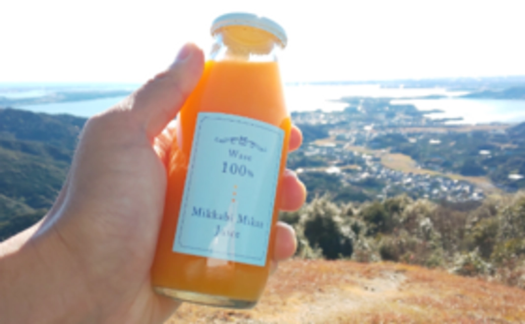 【浜名湖の絶景×大谷産三ヶ日みかんジュース】絶景パラグライダー場見学ペアご招待