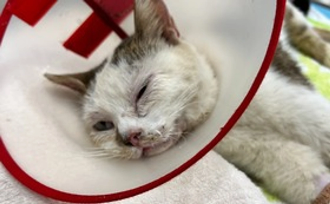 ご支援お願いします！１