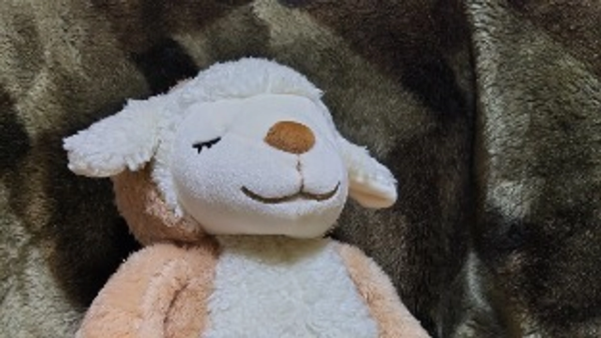 お友達が来ました！