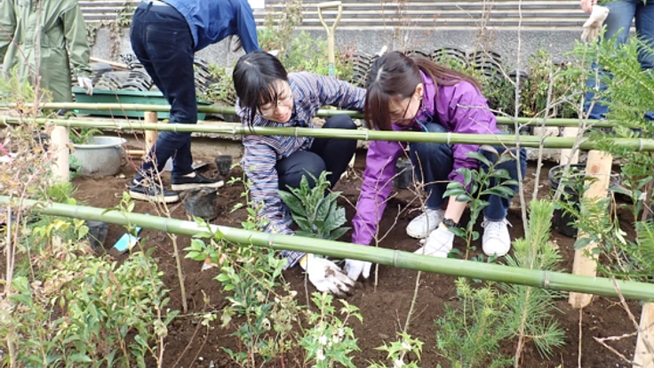 藝大キャンパスを通る道沿いを、武蔵野の緑あふれる空間へ