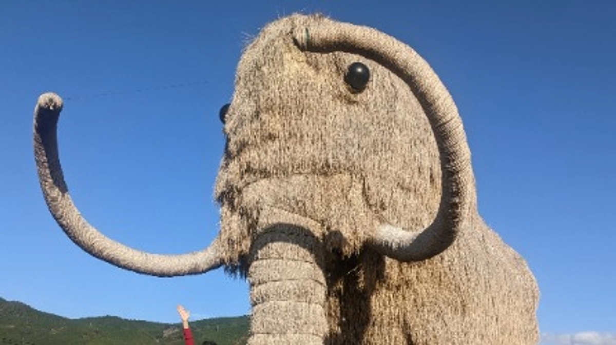 西予市宇和町 案内ガイド①わらマンモス