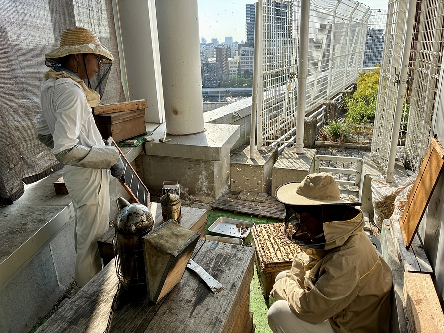 安田学園高等学校　生物クラブ　動画もあるよ！