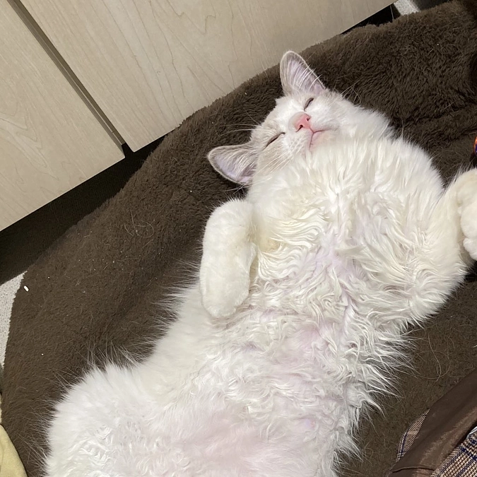 ✨クラウドファンディング達成のお知らせ✨