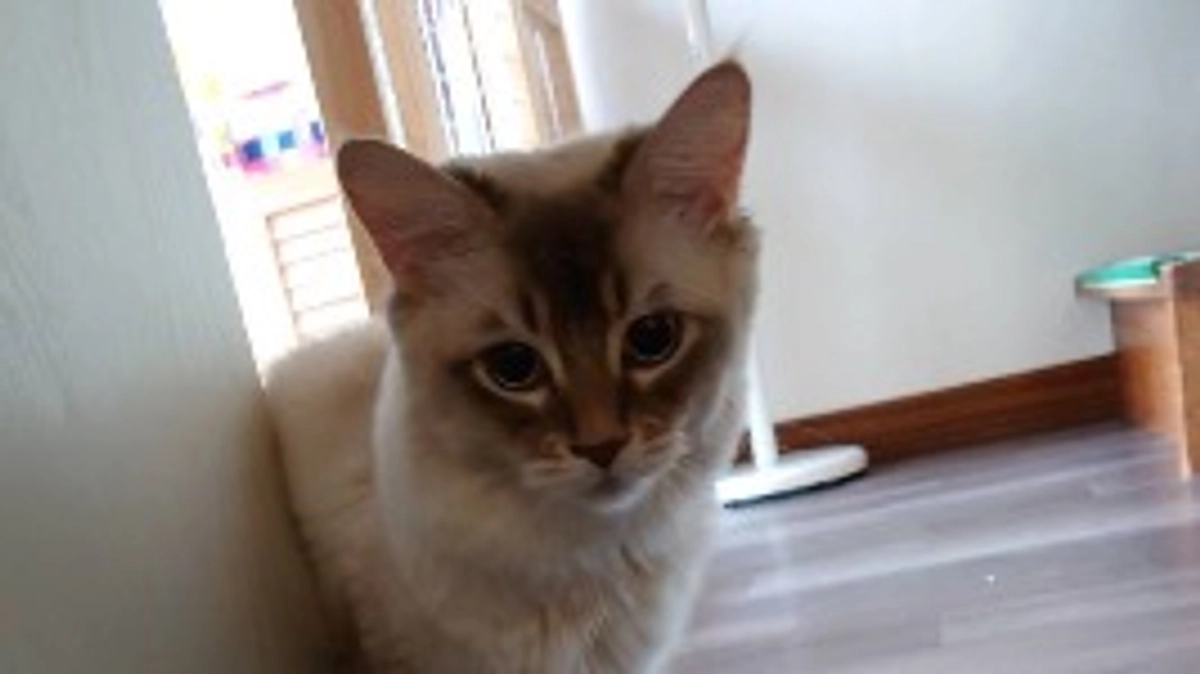 ラテの面会に行ってきました