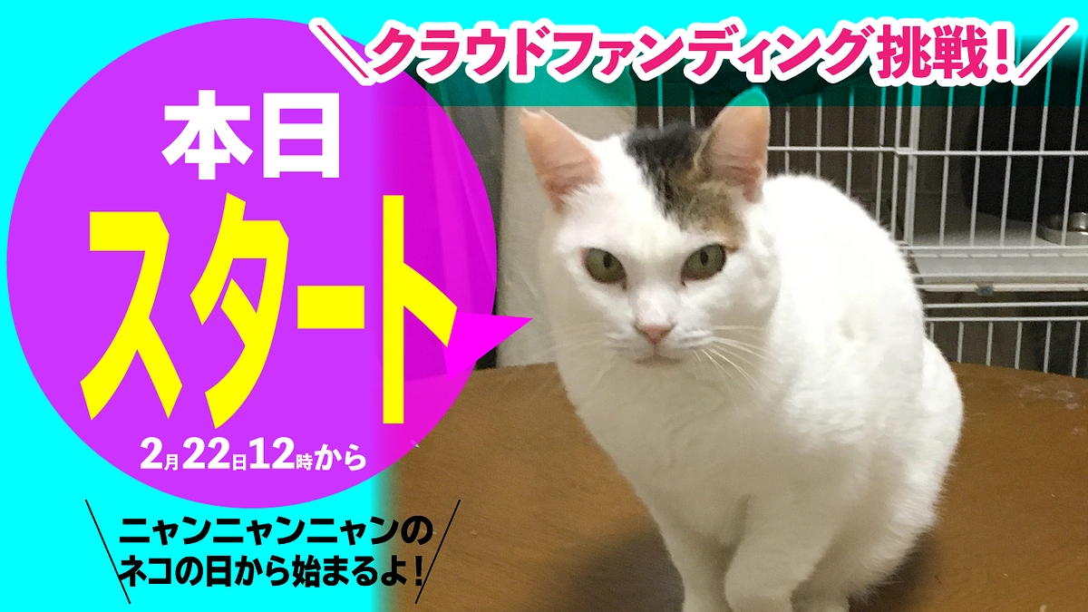 クラウドファンディング開始！セカンドチャレンジが始まります。
